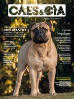 Cães e Cia